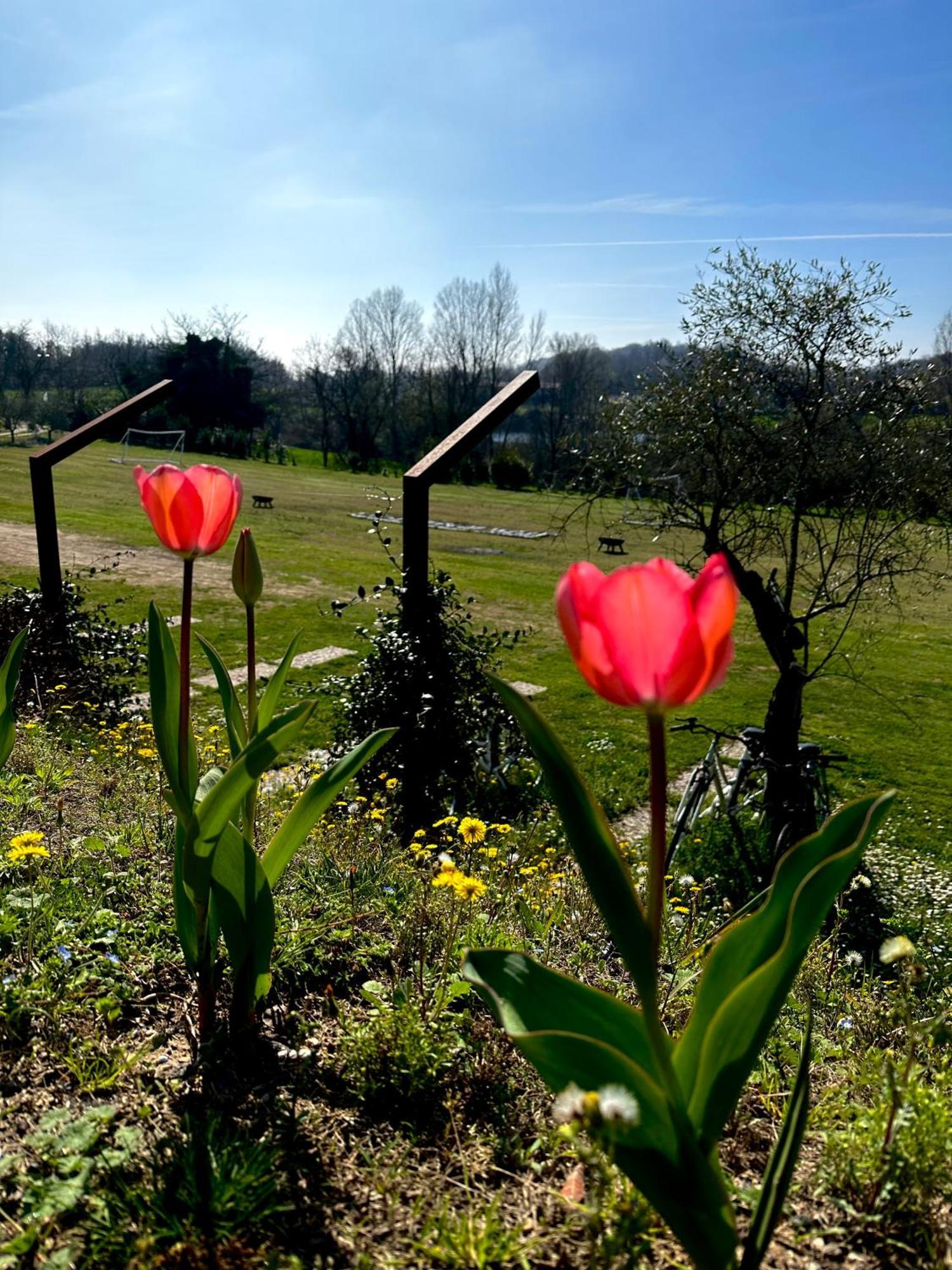 Holiday Home Sovenigo Puegnago Luaran gambar