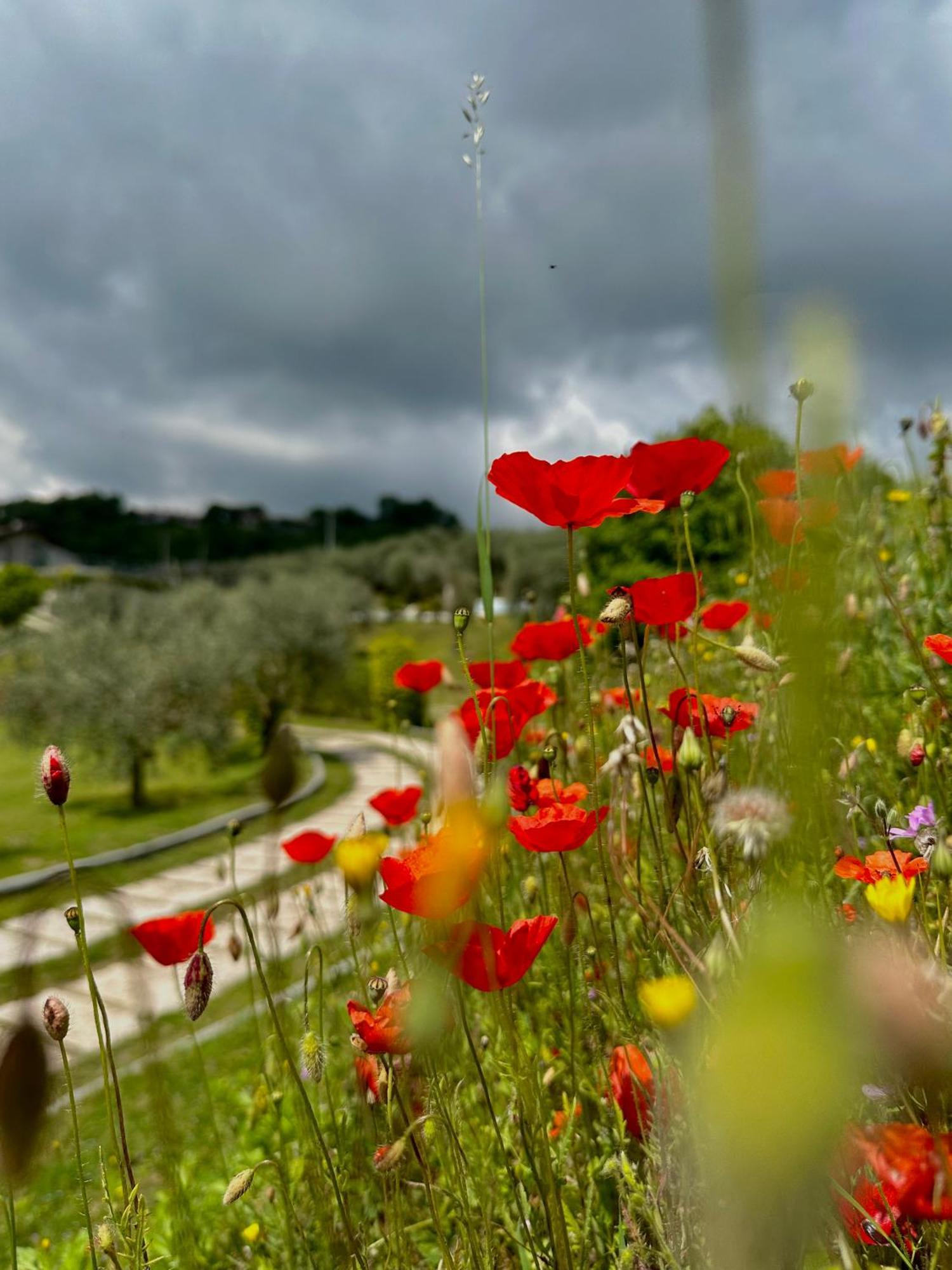 Holiday Home Sovenigo Puegnago Luaran gambar